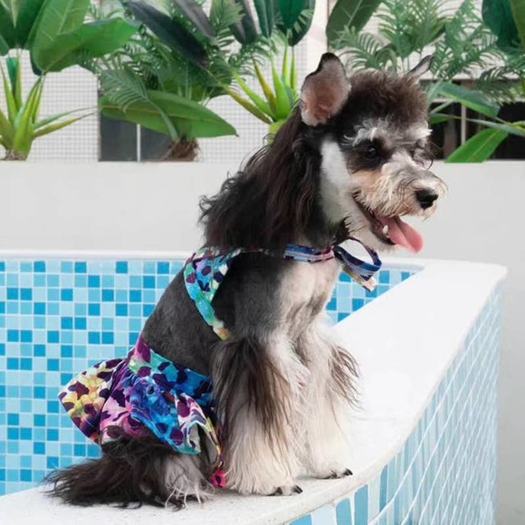 Adorable  Dog 2-piece Multi Rainbow Bikini Swimsuit Size Large - Picture 1 of 6